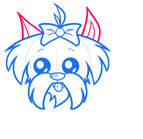 Как нарисовать собаку Ши-тцу 5