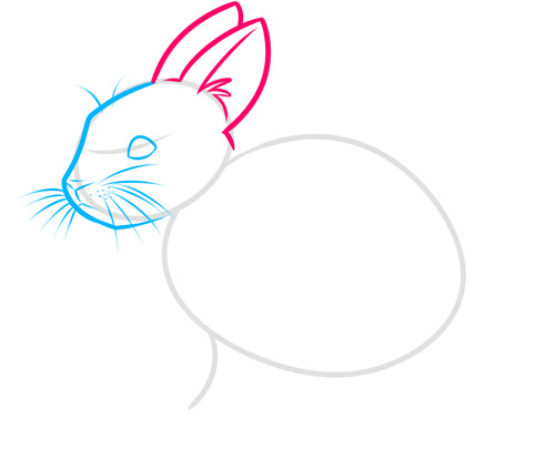 Как нарисовать кролика 4