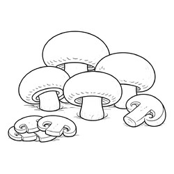 Шампиньоны