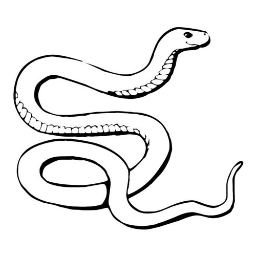 Раскраска Добрая змея