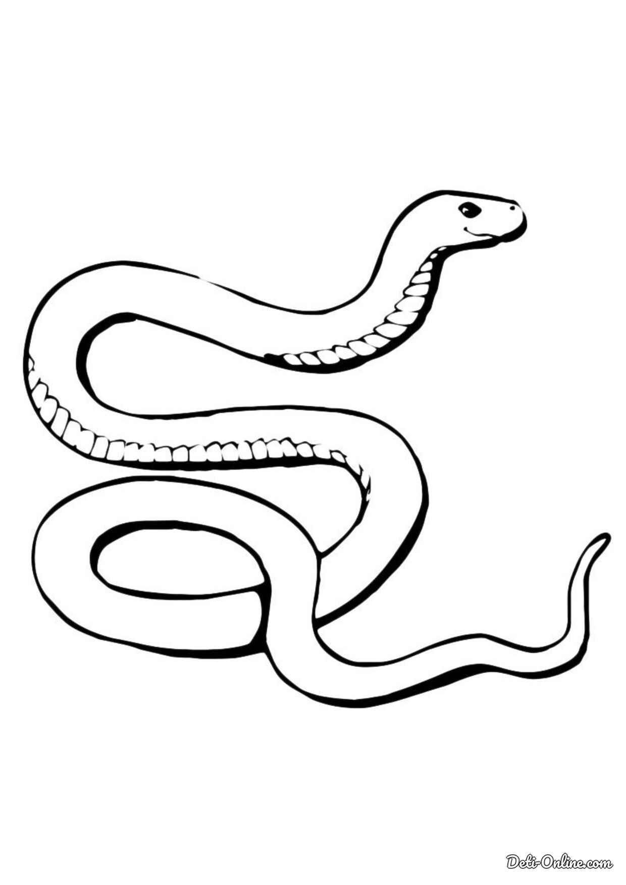 Раскраски змей распечатать. Змея раскраска. Раскраска змеи для детей. Змея раскраска для детей. Уж раскраска для детей.