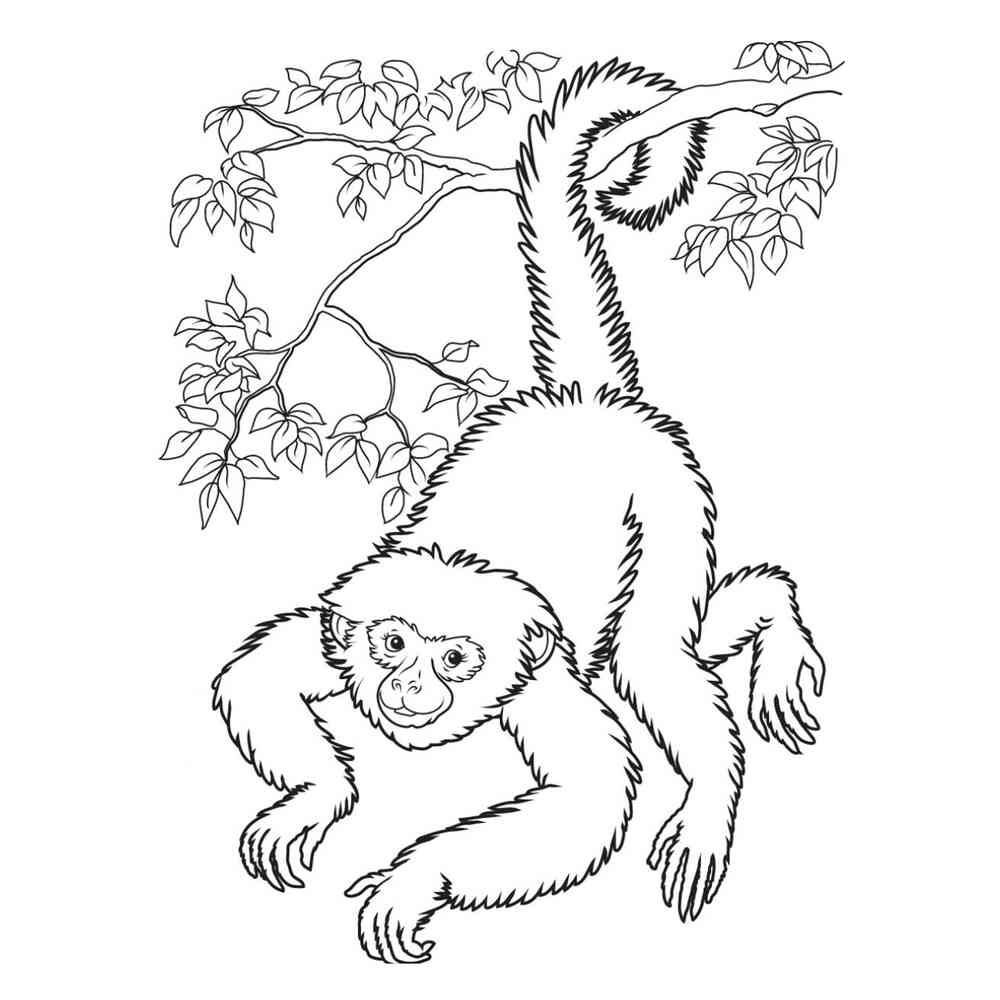 Раскраска к рассказу про обезьянку