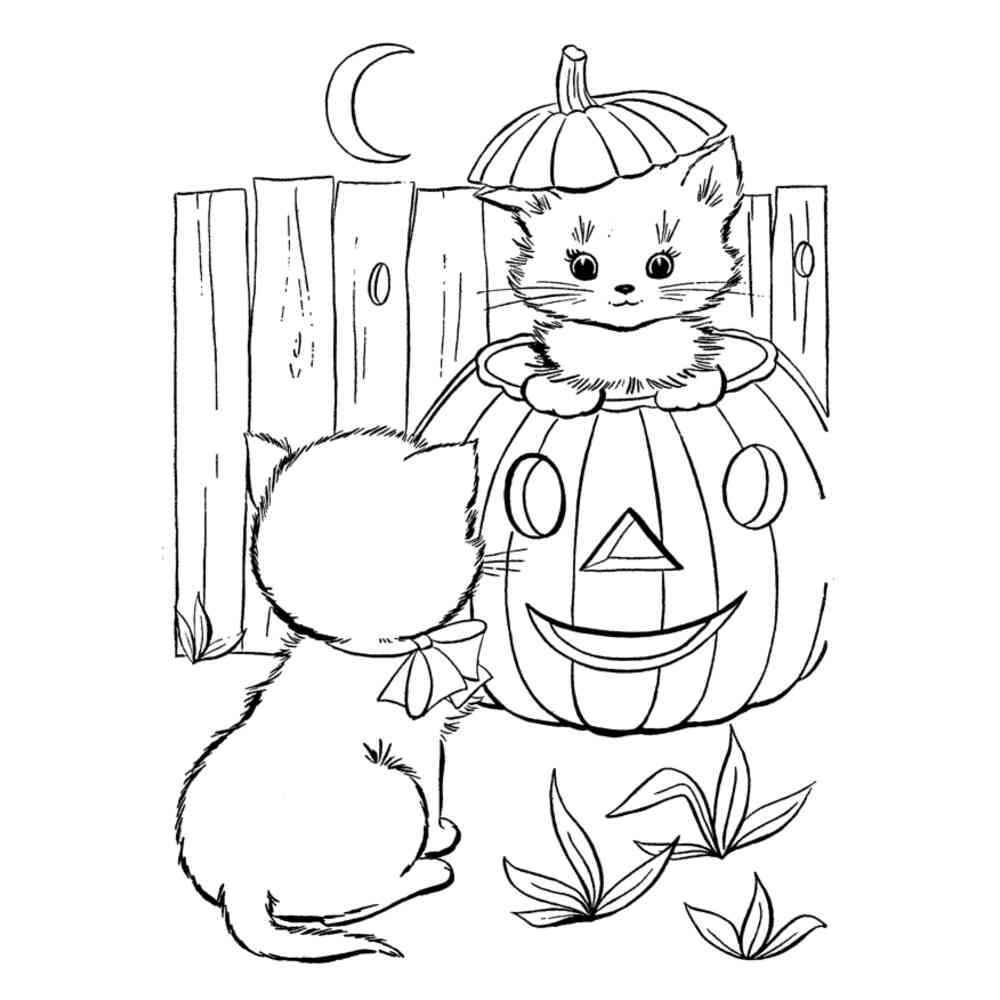 Кошка на Хэллоуин раскраска
