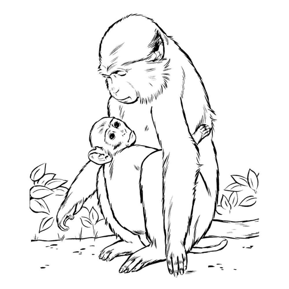 Раскраска животные обезьяна