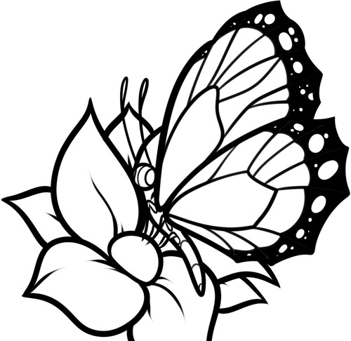 Раскраска бабочка на цветке