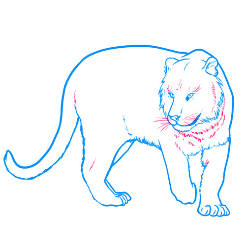 Как нарисовать тигра 5