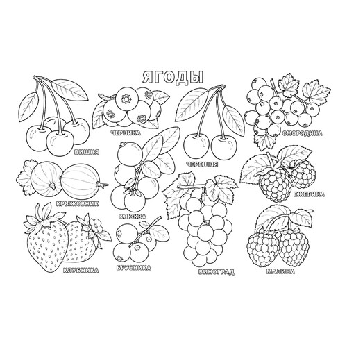 Раскраска Ягоды с названиями
