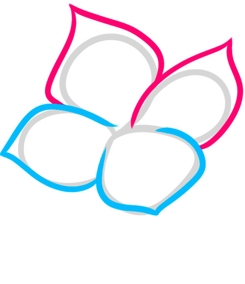 Как нарисовать цветок дафны 3