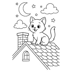 Кот забрался на крышу ночью