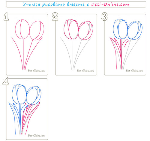 Как нарисовать тюльпан