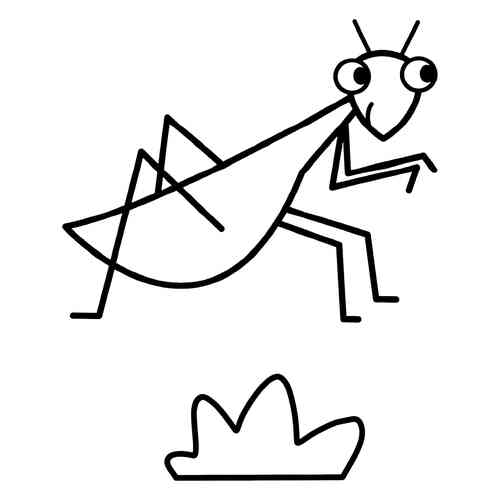 Раскраски насекомых для малышей: распечатать