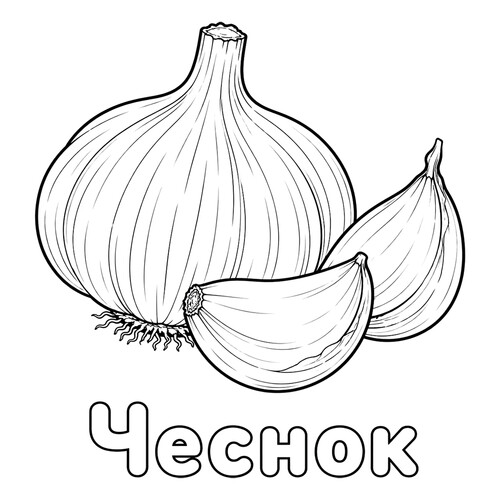 Раскраска Чеснок