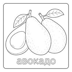 Раскраска Авокадо