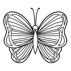Красивая полосатая бабочка