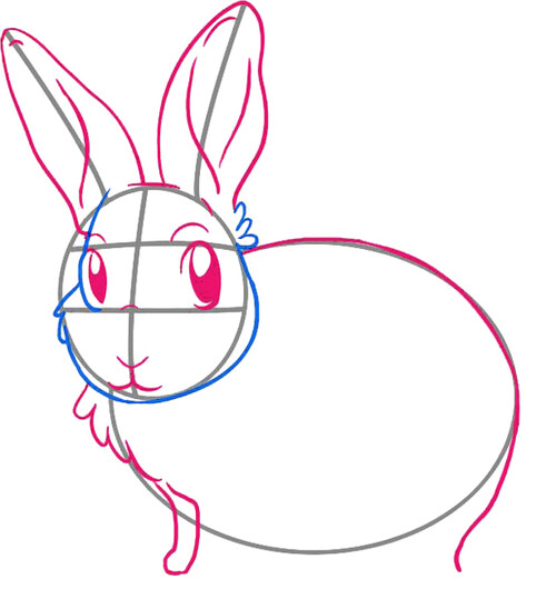 Как нарисовать зайца 3