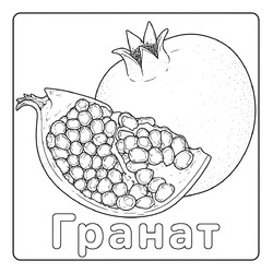 Раскраска Гранат