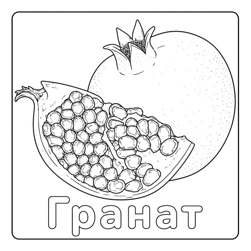 Раскраска Гранат