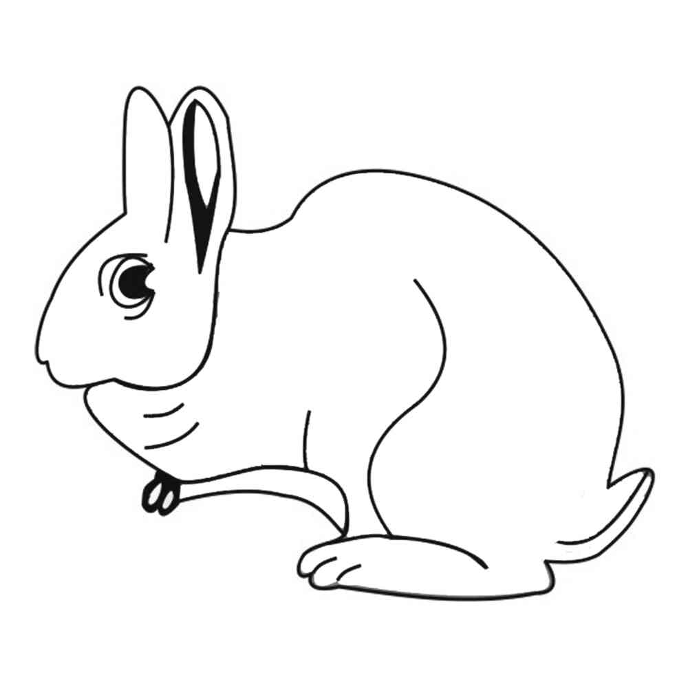 Полярный заяц раскраска для детей