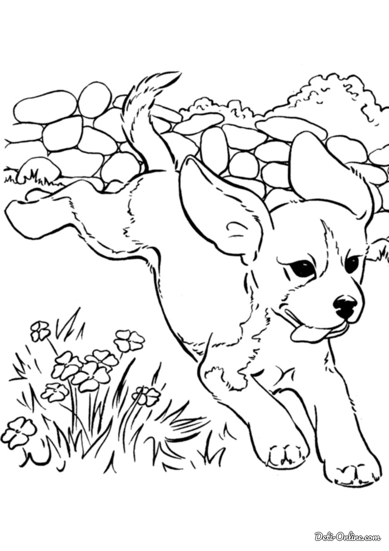 Раскраски с собаками для детей - 25+ изображений для печати - Kids Drawing Hub