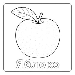 Фрукты Яблоко