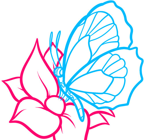 Как нарисовать бабочку на цветке 6