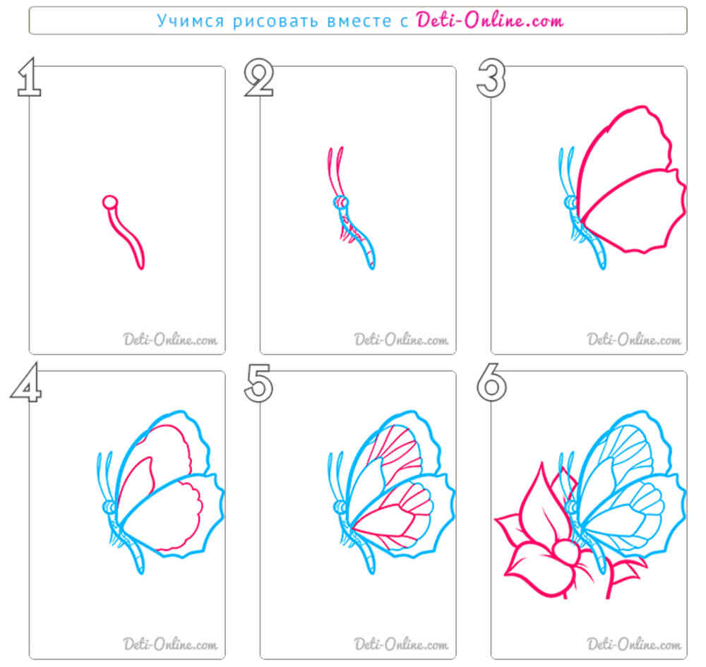Нарисовать бабочку на цветке легко