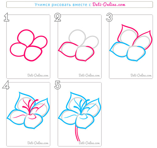 Как нарисовать цветок дафны