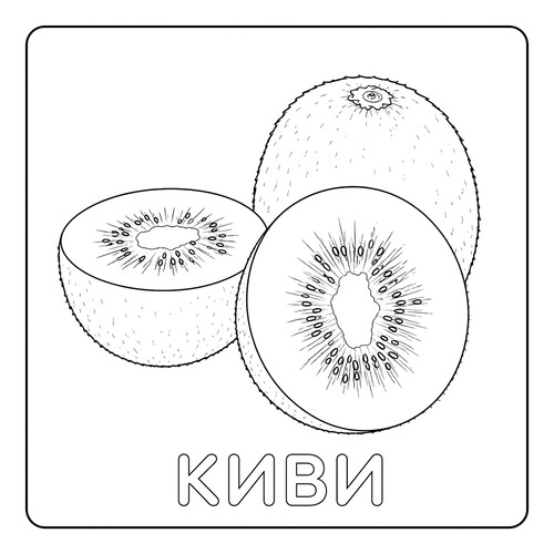 Раскраска Киви