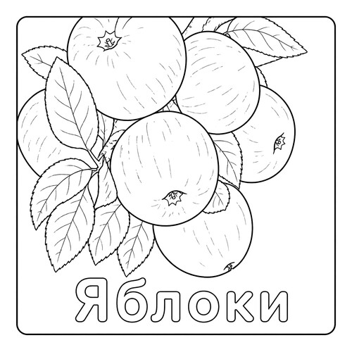 Раскраска Яблоки на ветке