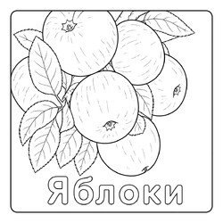 Раскраска Яблоки на ветке