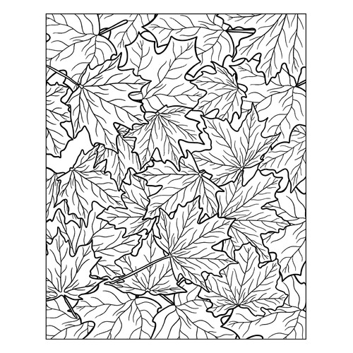 Раскраска Антистресс Кленовые листья