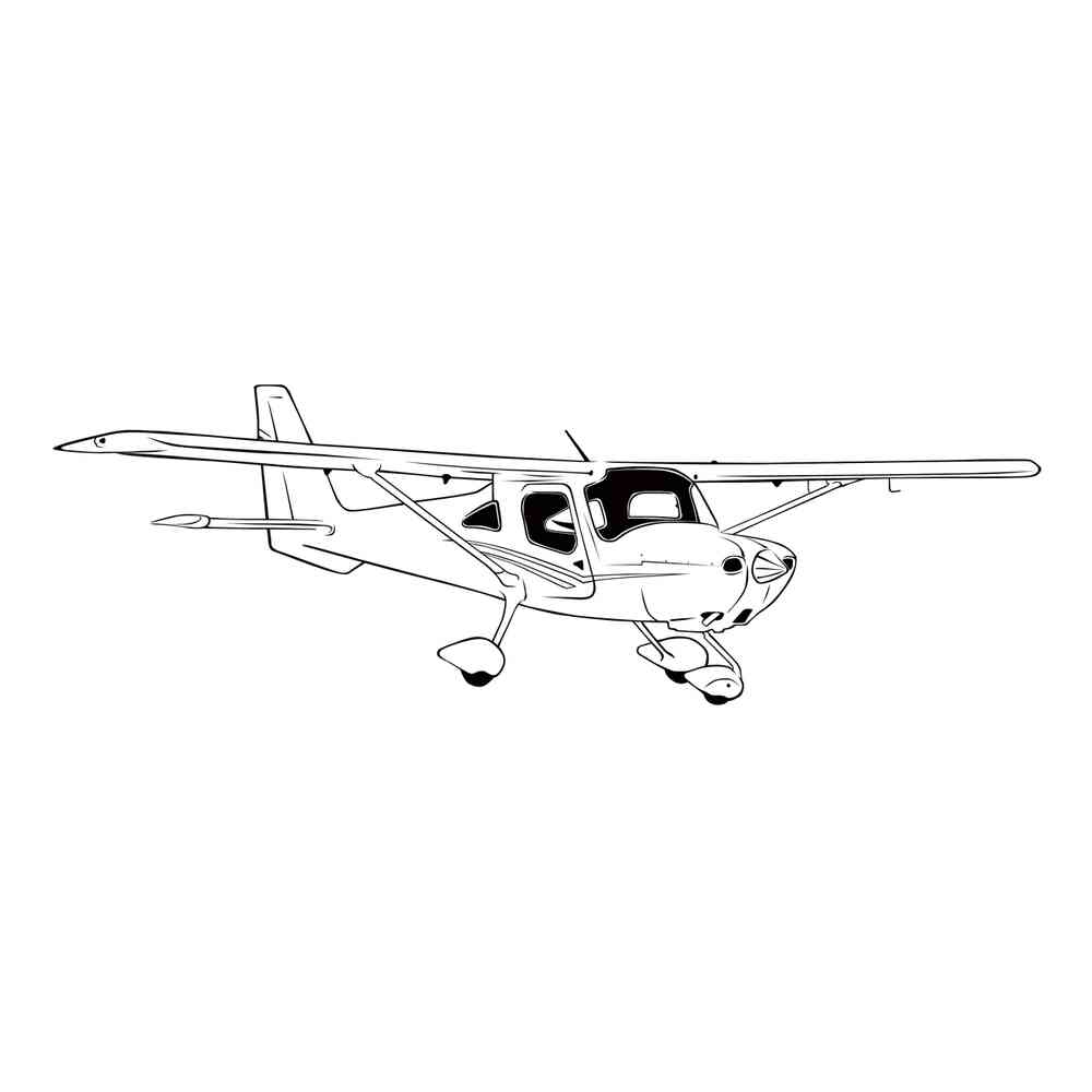 Cessna 172 с раскраской s7