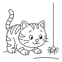 Котенок и паук