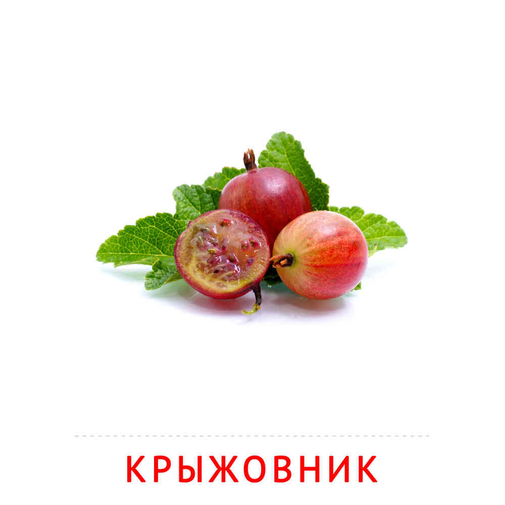 Фрукты и ягоды: Крыжовник