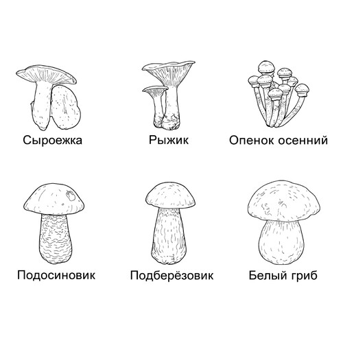 Раскраска Набор грибов