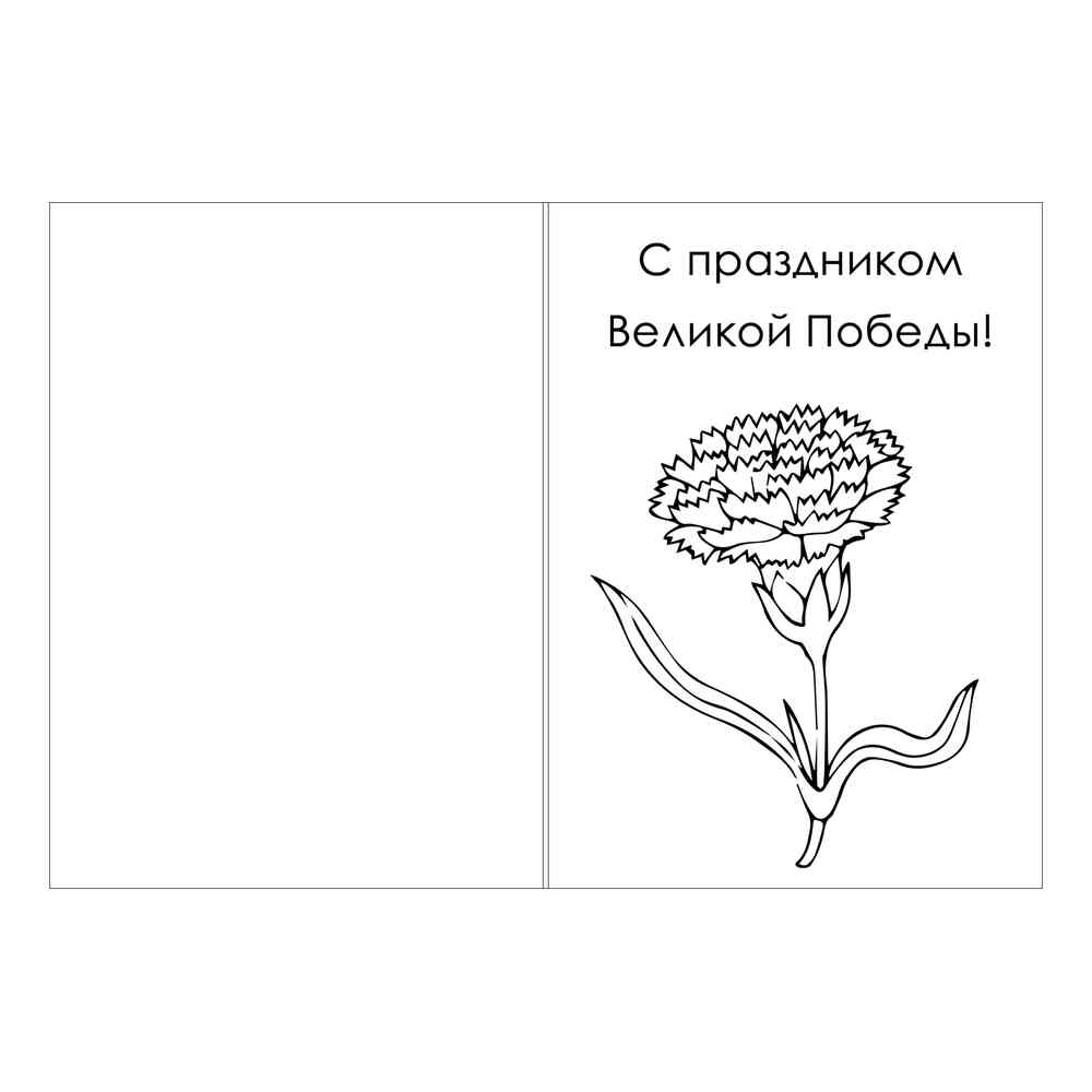 Сколько гвоздик на 9 мая на рисунке