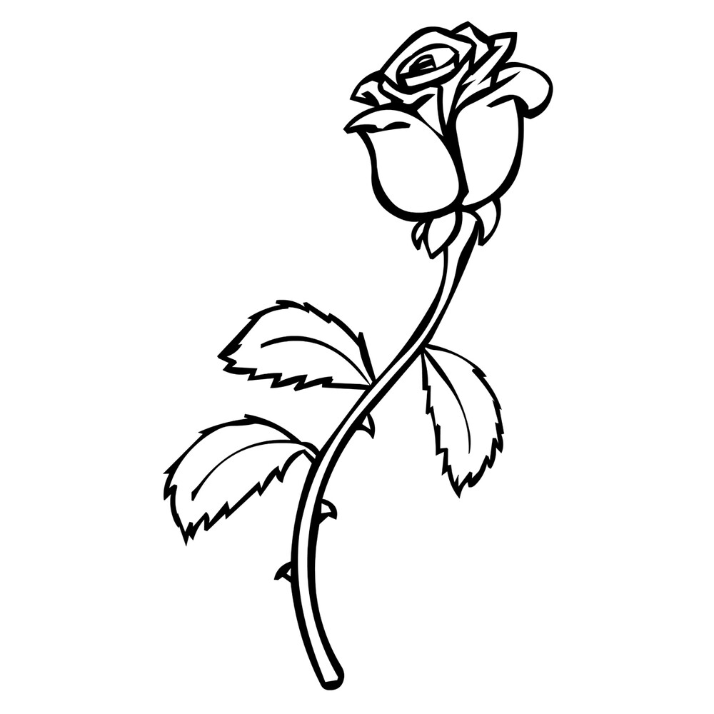 Раскраска Роза с шипами распечатать или скачать