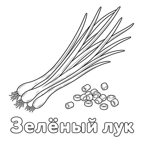 Раскраска Зелёный лук