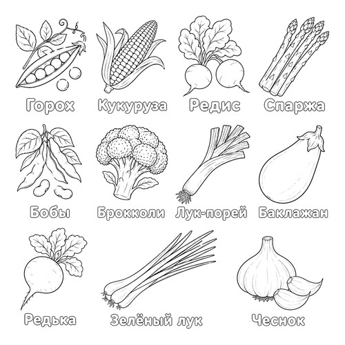 Раскраска Большая коллекция овощей