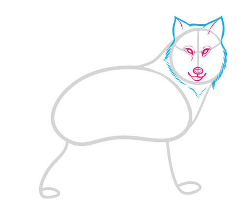 Как нарисовать волка 3
