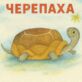 Черепаха