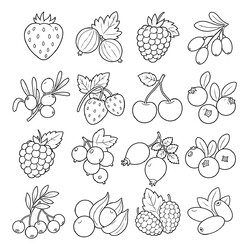 Раскраска Большой набор ягод