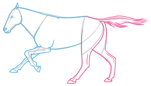 Как нарисовать лошадь 7