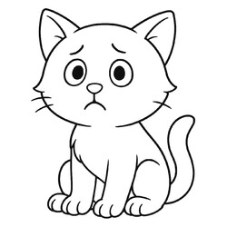 Растерянный кот