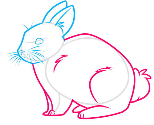 Как нарисовать кролика 5