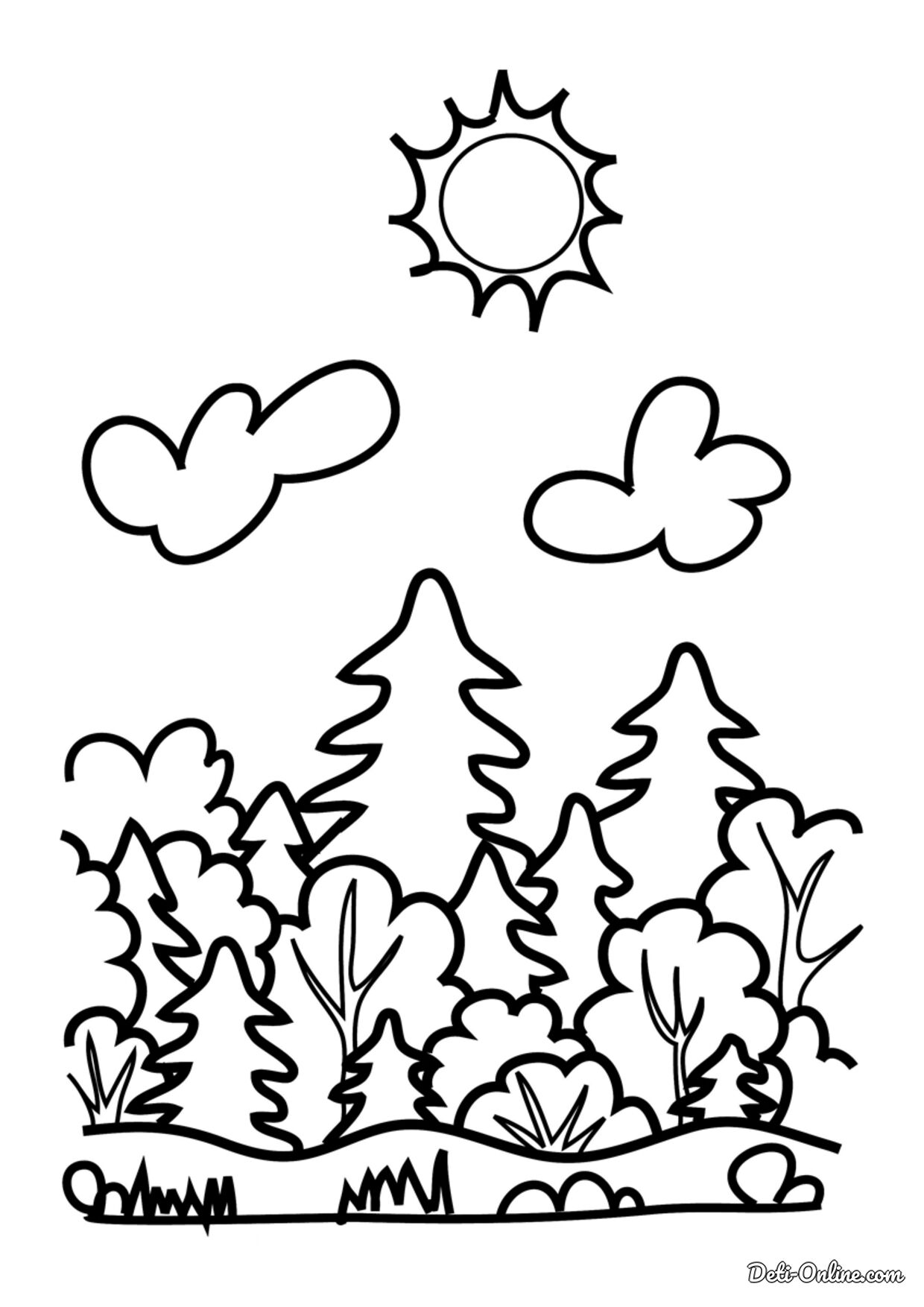 Раскраска Белка в лесу – Математические картинки