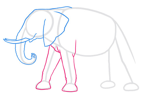 Как нарисовать слона 3