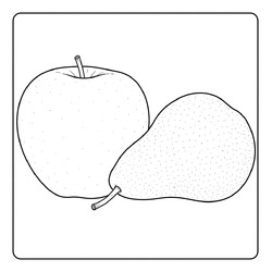 Раскраска Яблоко и груша