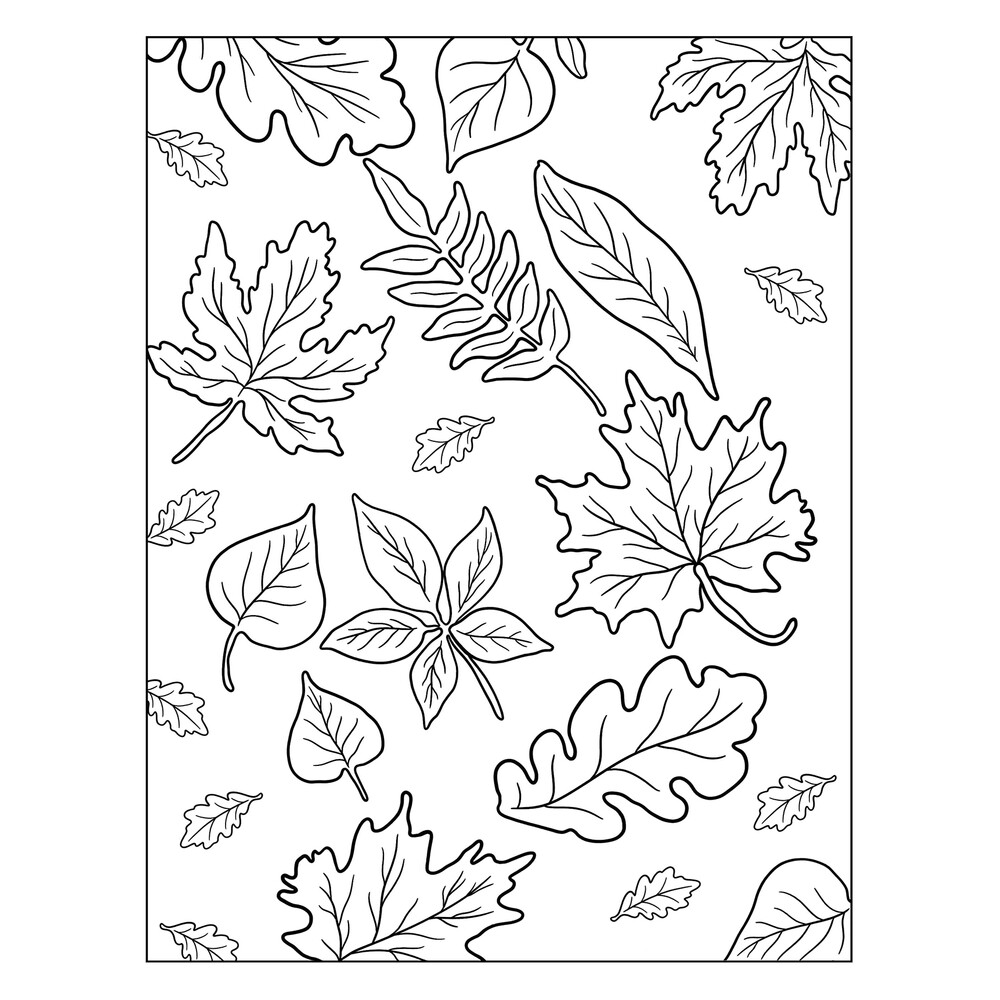 Рисунок листьев разной формы
