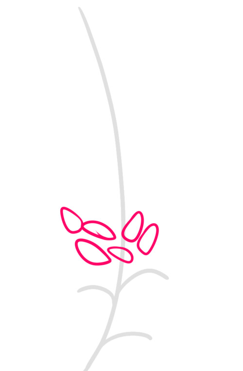Как нарисовать цветок люпина 2